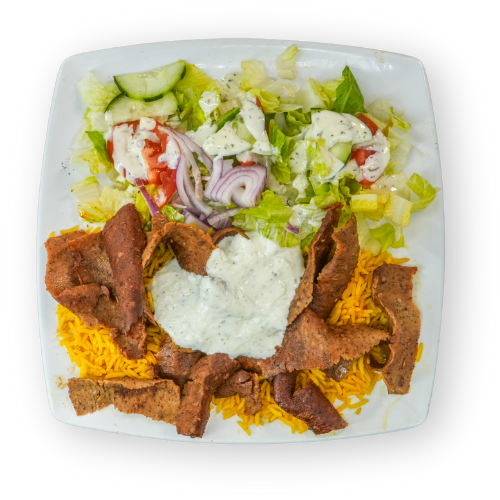 Gyro Entree Gyro Entree